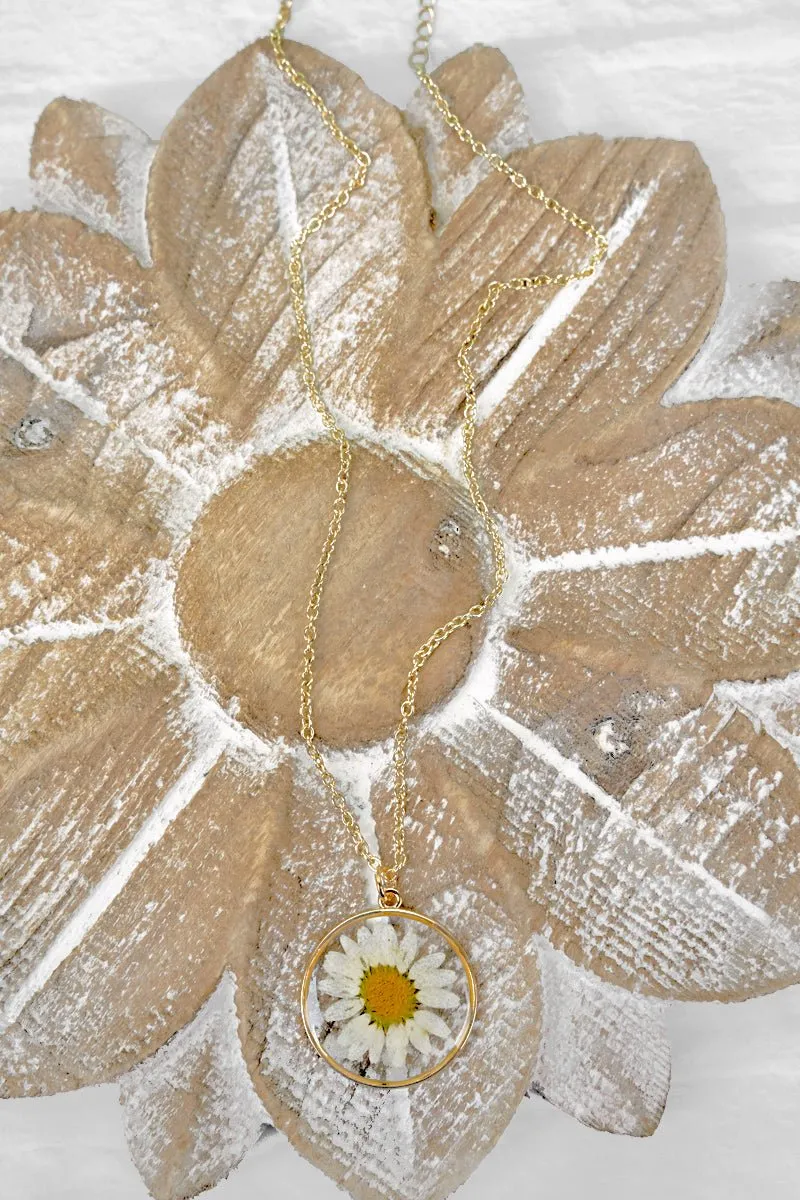Crystal Avenue Shasta Daisy Pressed Flower Necklace