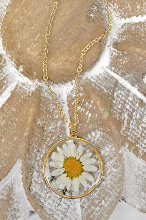 Crystal Avenue Shasta Daisy Pressed Flower Necklace