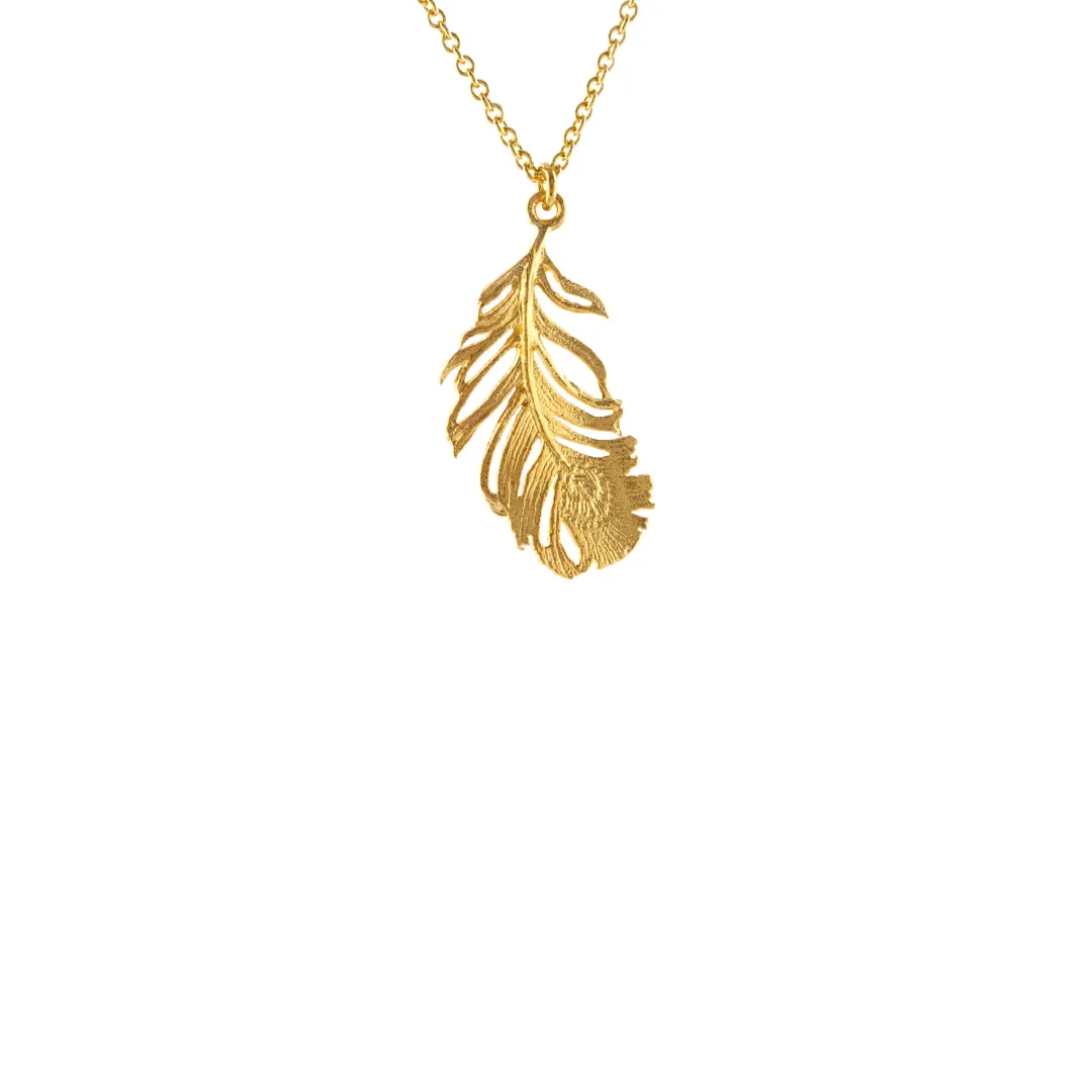 Peacock Feather Necklace